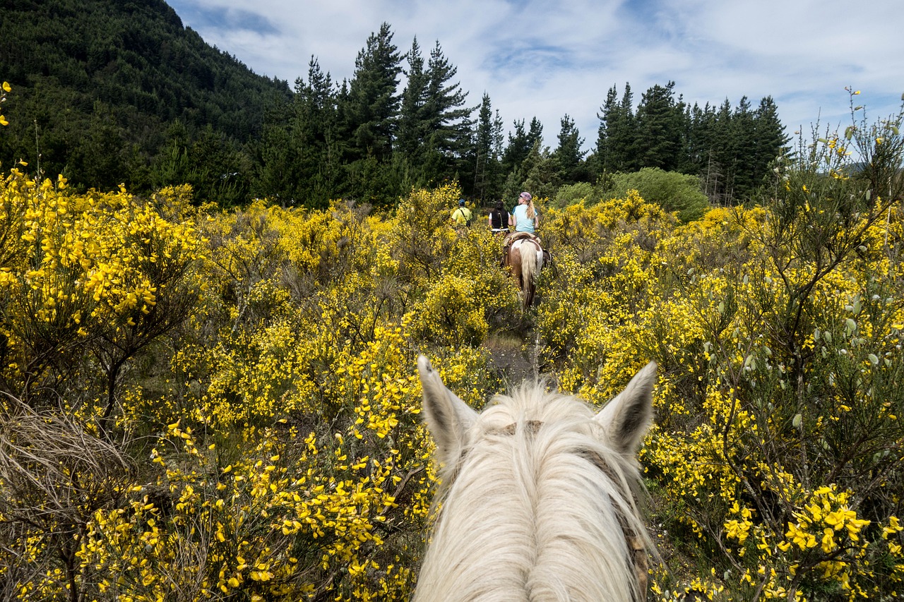 Rugged Outdoor Gear Company Grows Despite Trade Competition